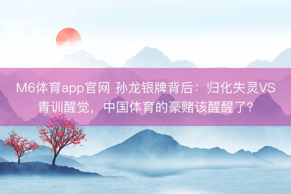 M6体育app官网 孙龙银牌背后:归化失灵VS青训醒觉,中国体育的豪赌该醒醒了?