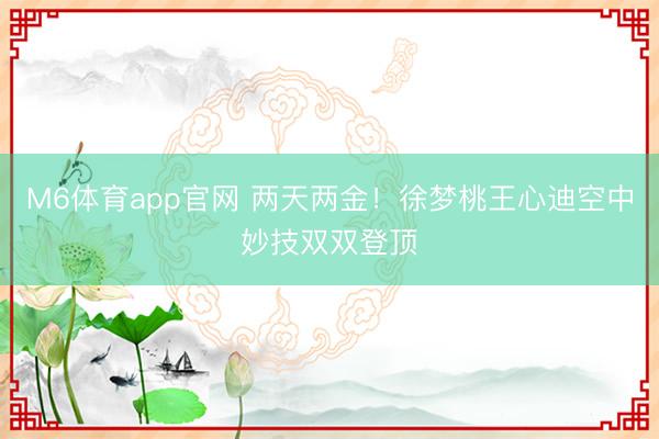 M6体育app官网 两天两金！徐梦桃王心迪空中妙技双双登顶